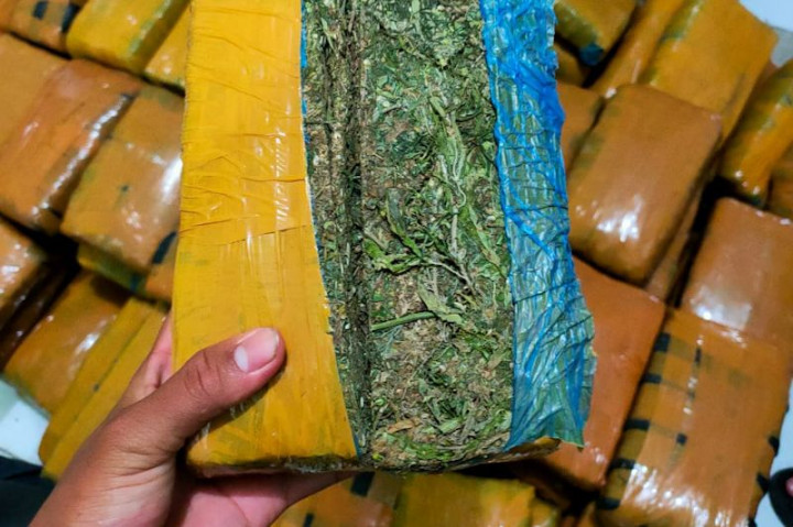 Peredaran Ganja Modus Kotak Biskuit di Bogor Terbongkar