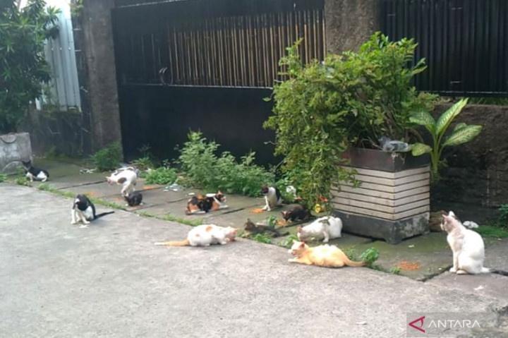 Antisipasi Cacar Monyet, Sudin KPKP Jaksel Tangkap Hewan Liar