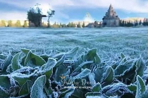 Fenomena Embun Es di Dieng Akibat Cuaca Ekstrem