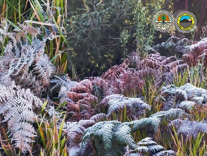 Fenomena Embun Es Mulai Muncul di Kawasan Gunung Bromo