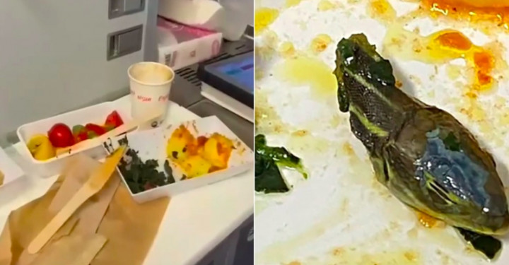 Mengerikan! Kepala Ular Ditemukan dalam Makanan Pesawat