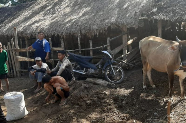 Kasus PMK di Jatim Turun Drastis