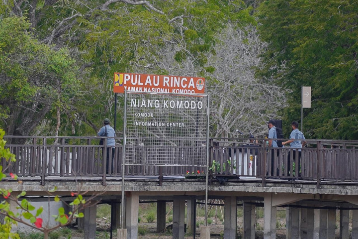 Tiket Masuk Pulau Komodo Kemahalan, Pulau Rinca Bisa jadi Alternatif