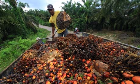 Tiongkok Sepakat Beli 1 Juta Produk Pertanian RI