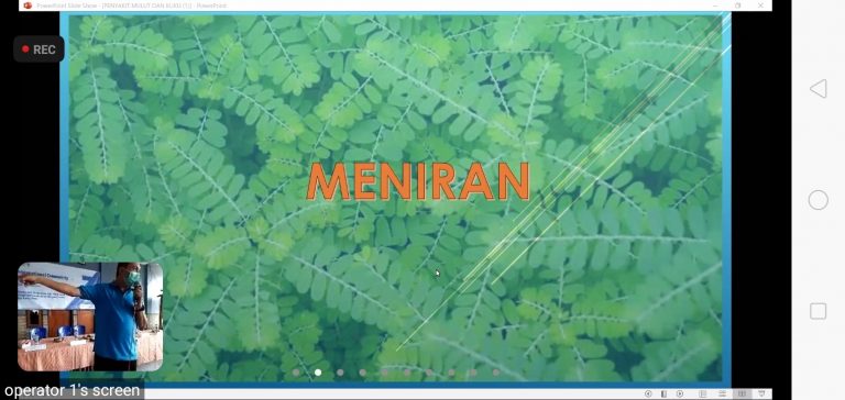 Daun menira. DOK Unair