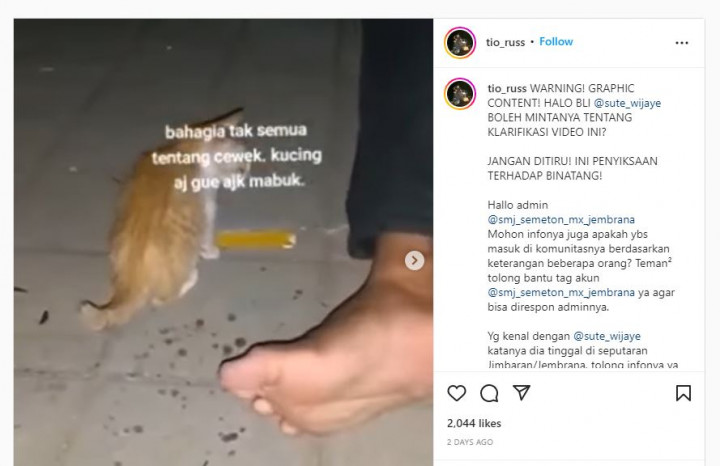Viral Anak Kucing Dicekoki Arak, Pelaku Menangis saat Dilaporkan ke Polisi