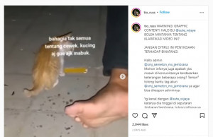 Viral Anak Kucing Dicekoki Arak, Pelaku Menangis saat Dilaporkan ke Polisi