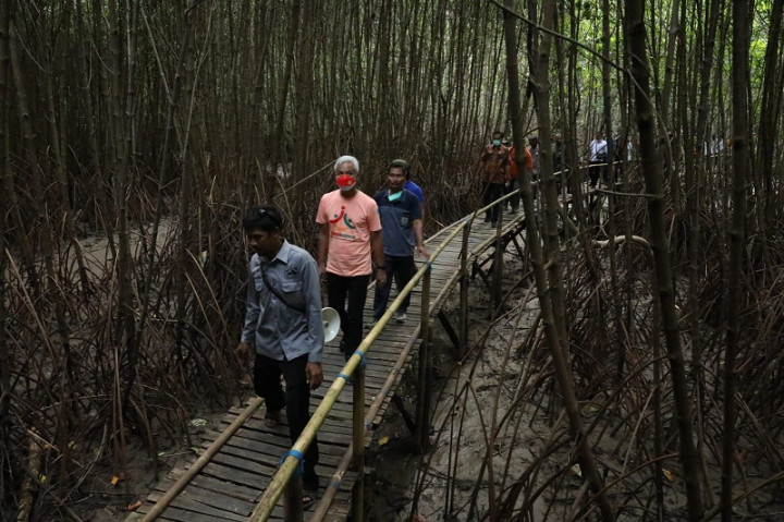 Ganjar Dorong Potensi Ekowisata Mangrove Muara Kali Ijo