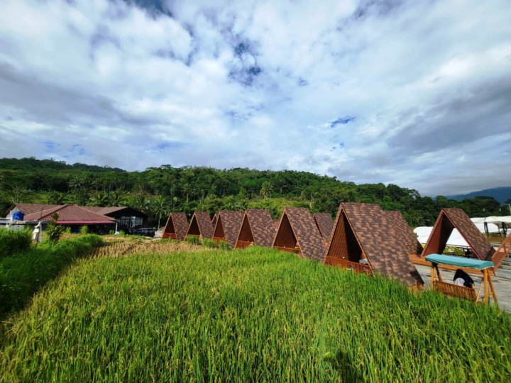 Wahana Alam Parung, Destinasi Sempurna dengan Harga Ekonomis