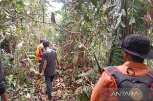 Basarnas Evakuasi Warga yang Hilang di Hutan Aceh Barat