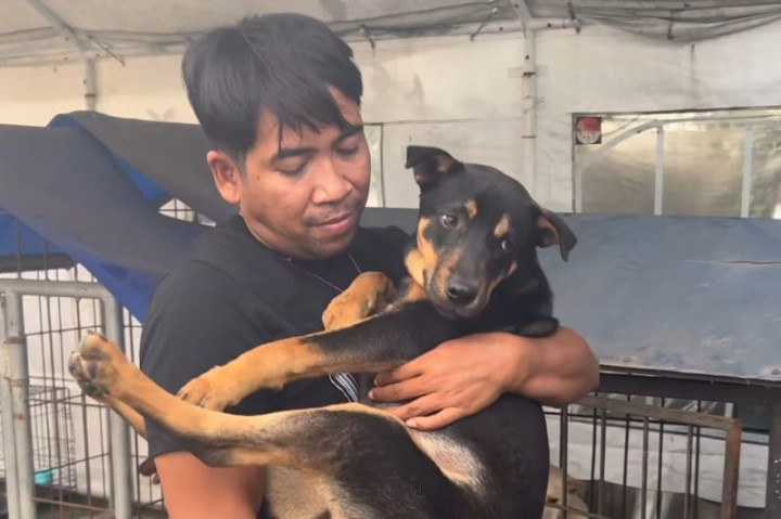 Daging Anjing di Rumah Jagal Surabaya Dijual Rp80 Ribu Sekilo