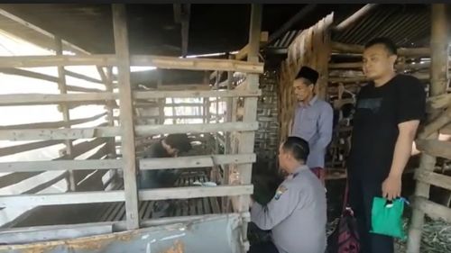 Stres Rumahnya Terbakar, ODGJ Dipasung Dalam Kandang Kambing