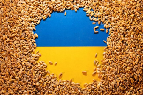 Ukraina Perlu Ekspor 50 Juta Ton Biji-Bijian di 2022-2023
