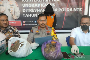 Pasutri Penerima Paket Ganja dari Lampung Ditangkap