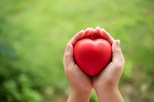 80 persen penyakit jantung dapat dicegah. (Foto: Ilustrasi. Dok. Freepik.com)