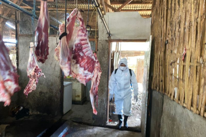 Lombok Tengah Kebut Vaksinasi PMK