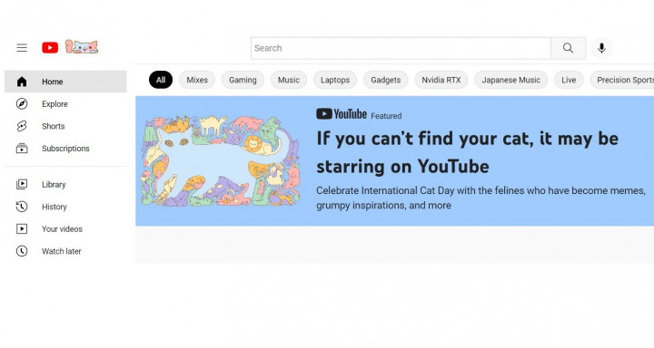 YouTube Rayakan Hari Kucing Sedunia