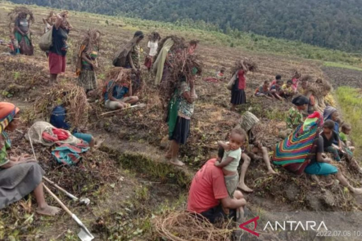 Papua Upayakan Mitigasi Bencana Embun Beku