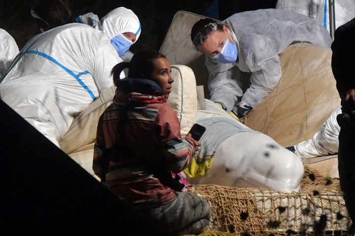 Momen Evakuasi Paus Beluga yang Terdampar di Sungai Seine Prancis