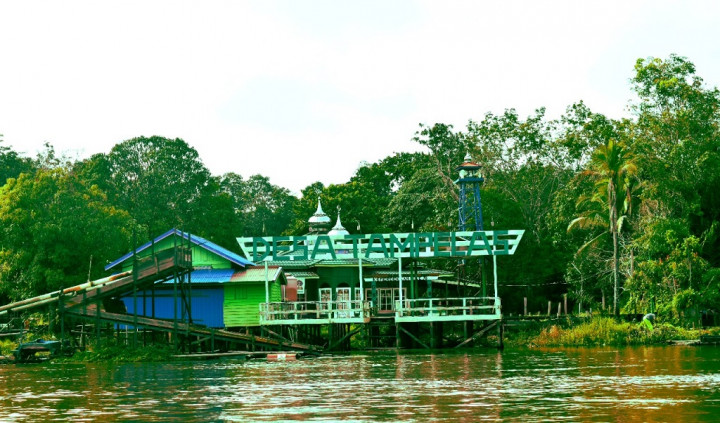 Desa Terpencil di Kalteng Mulai Nikmati Pembangkit Listrik Tenaga Surya