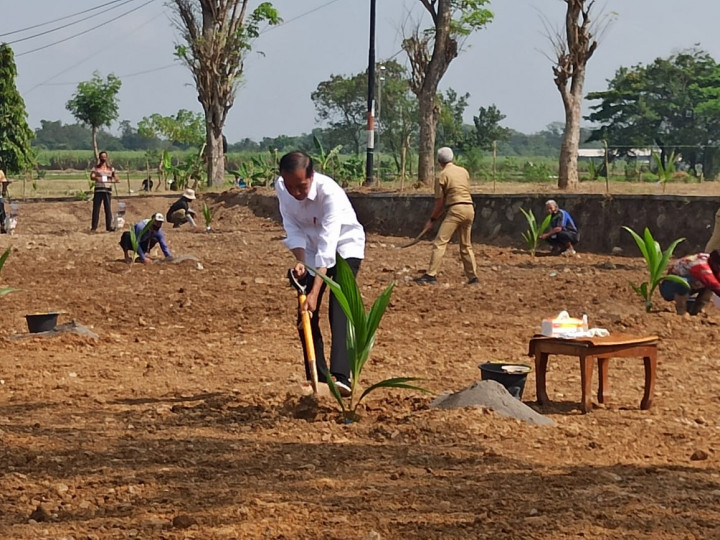 Kunker ke Boyolali, Presiden Tanam Kelapa Genjah Upaya Antisipasi Krisis Pangan