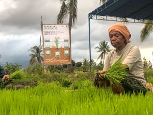 Genjot Produktivitas Petani, Perusahaan Ini Bangun Ekosistem Pertanian Berkelanjutan
