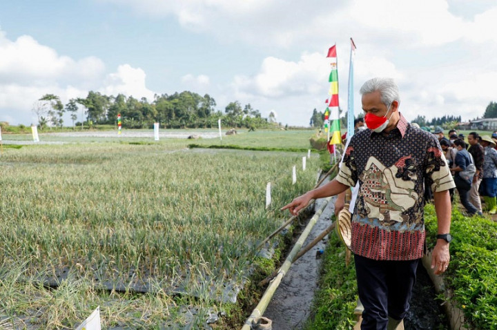 Gubernur Jateng Targetkan Kebutuhan Bawang Putih Tercukupi di Atas 50%