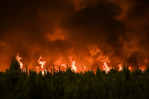 Gelombang Panas Jilid Dua Kembali Serang Eropa, Kebakaran Hutan Meluas