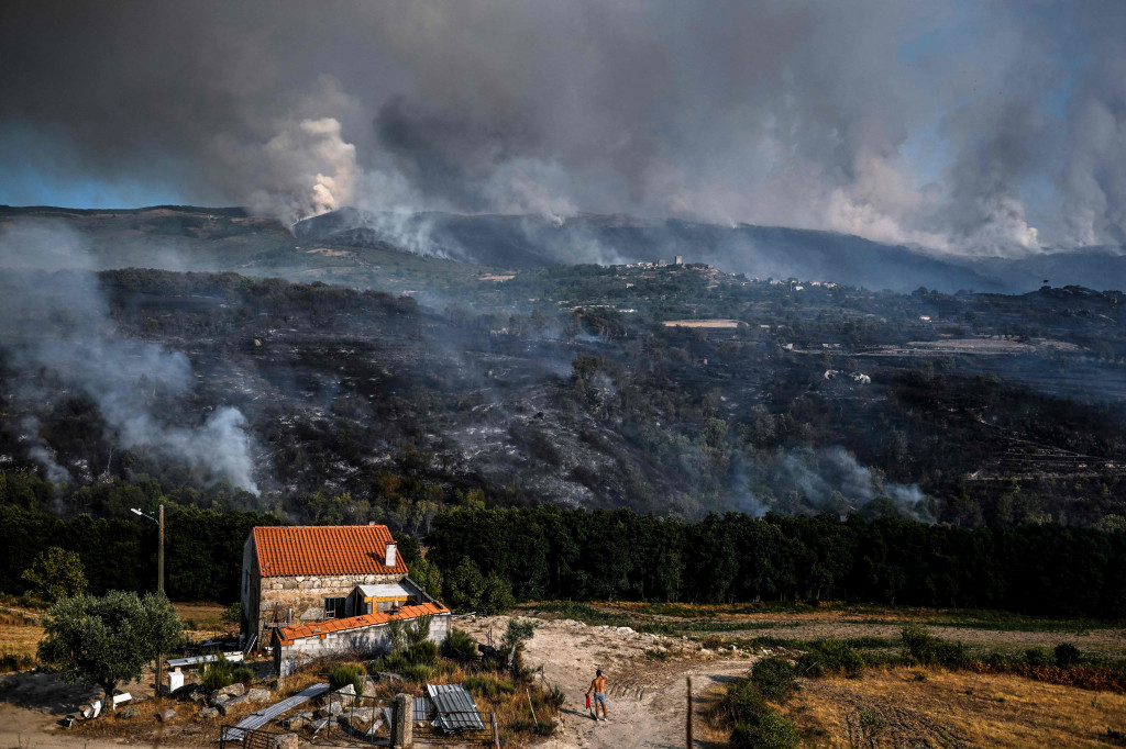 Hutan Videmonte di Portugal Terbakar Akibat Gelombang Panas