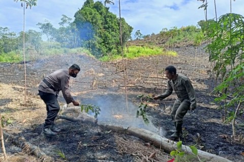  Kebakaran hutan dan lahan yang terjadi di Bukit Sinduk Desa Senunuk Kecamatan Batang Lupar daerah perbatasan RI-Malaysia wilayah Kapuas Hulu Kalimantan Barat, sudah dipadamkan. ANTARA/HO-BPBD Kapuas Hulu 