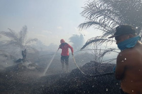 30 Hektare Hutan Lindung di Aceh Tengah Terbakar