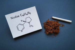 Ahli Toksikologi Bahas Pandangan Negatif terhadap Nikotin