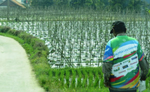 Empat Desa di Pamijahan Menuju Konsep Pertanian Mutakhir dan Kesehatan Berkualitas