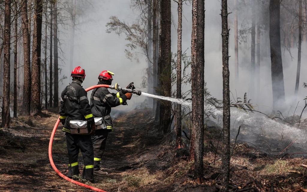 Petugas pemadam kebakaran sedang bekerja di tengah hutan yang terbakar