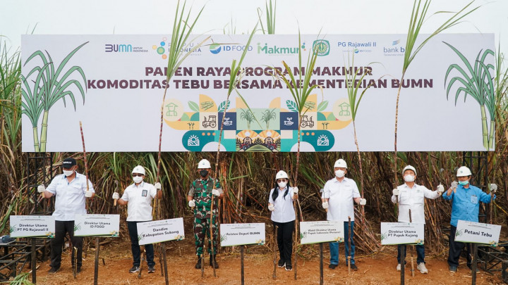 Program Makmur Tingkatkan Produktivitas Tebu