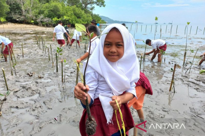 Sulawesi Tengah Aktifkan Kelompok Kerja Mangrove Daerah