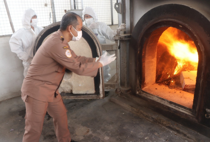Ratusan Pembawa Hama pada Tumbuhan dan Hewan Dimusnahkan