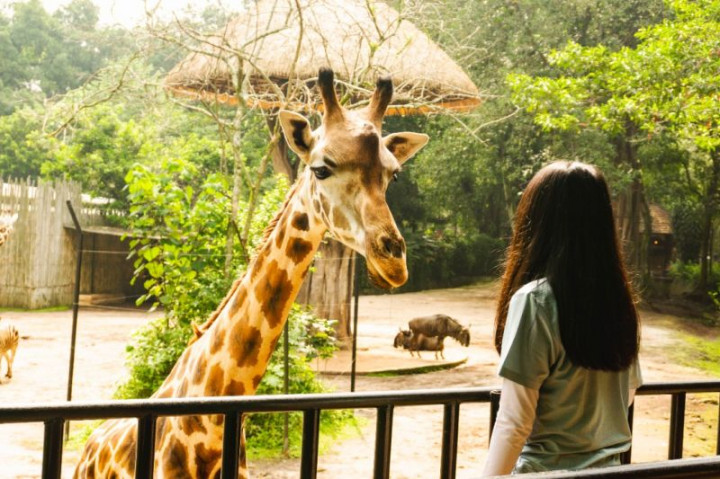 Meriahkan HUT RI, Ultah Tanggal 16-18 Agustus Masuk Bandung Zoo Gratis