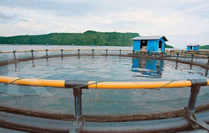 Upaya Menjaga Ekosistem Danau Toba Tetap Terjaga