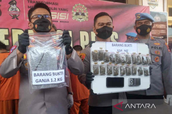 Karyawan Koperasi Pengedar 1 Kg Ganja di Cirebon Dibekuk
