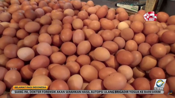 Harga Telur Naik Spontan, Pedagang Panik