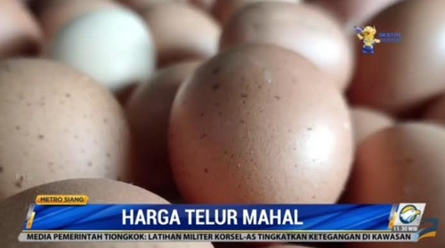 Harga Telur di Semarang Merangkak Naik Hingga Rp30 Ribu Per Kilogram