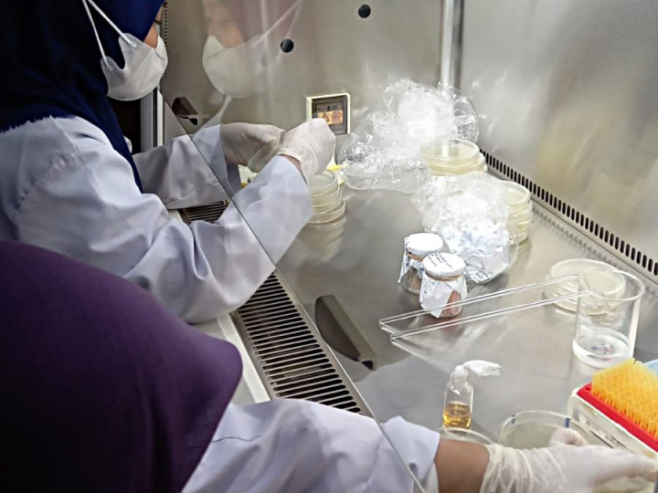 Tim PKM Unsoed Temukan Inovasi Baru Pembuatan Antibakteri Pseudomonas Aeruginosa