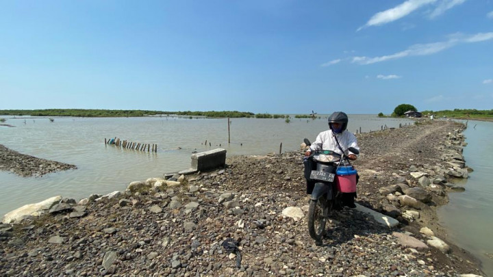 Ratusan Hektare Tambak Garam di Cirebon Gagal Panen