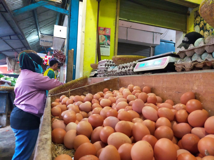 Mendag: Pencairan Bansos Ikut Pengaruhi Kenaikan Harga Telur Ayam