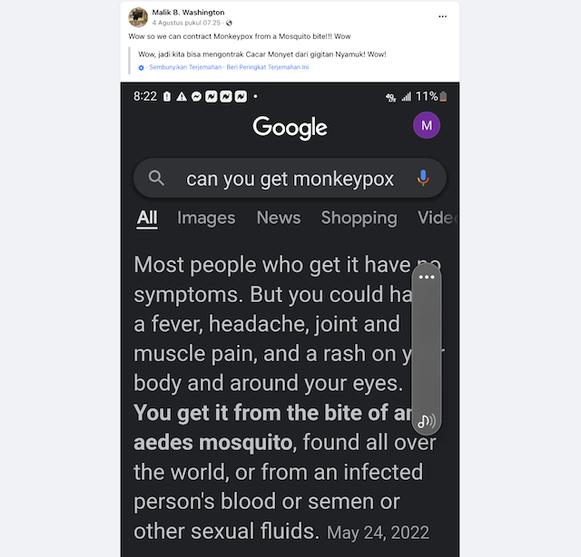 [Cek Fakta] Cacar Monyet Bisa Ditularkan Lewat Gigitan Nyamuk? Cek Dulu Faktanya