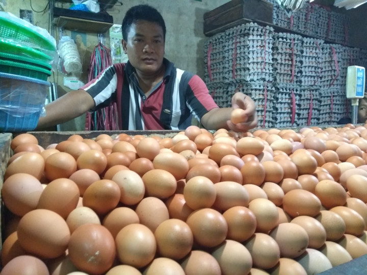 Top 5 Berita Ekonomi: Harga Telur Meroket hingga Rasio Utang RI Turun