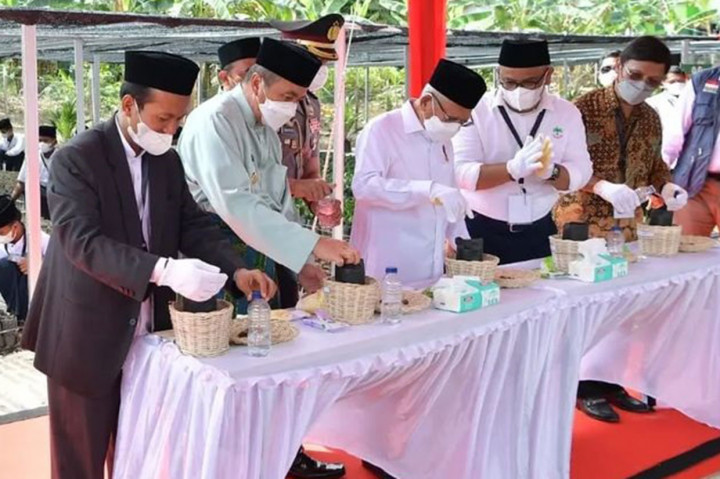 Wapres Tanam Kecambah Kelapa Sawit Unggul di Riau