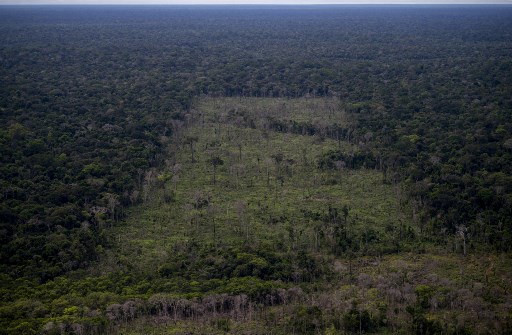 Kebakaran Hutan Amazon Brasil Capai Level Tertinggi dalam 15 Tahun