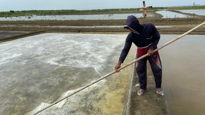 Produksi Garam di Cirebon Turun Hingga Ratusan Ribu Ton